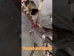 Fabrica de lâminas de serra Foshan Yongtai TCT